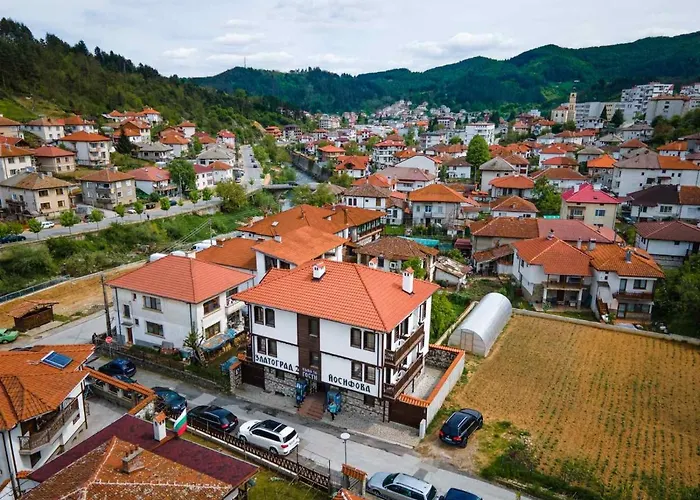 2 Iosifova Pensionat 3*